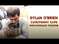 Dylan obrien cutefunny clips   mega link withwithout twixtor