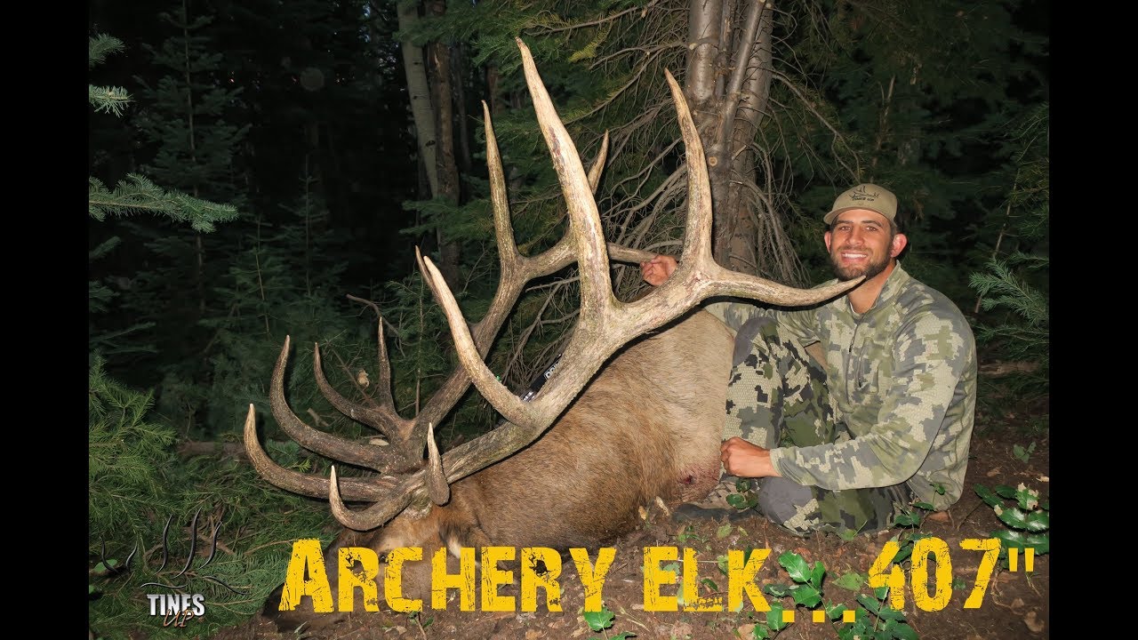 AMAZING Utah Archery Elk HuntSURRENDER...407" Giant! YouTube