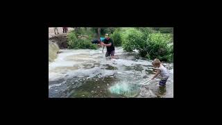 CARP NOODLING! HAND FISHING! #shortvideoviral #fishing