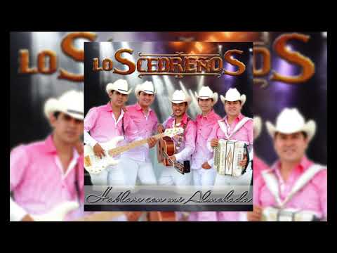 SANGRE DE INDIO (DIALECTO MAYO) - LOS CEDREÑOS
