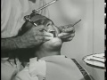 The Duties of a Dental Technician (1944)