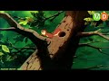 Sefko Badini Xalaka 5 سفكو باديني خه له كا ٥ Sefko Badini Xalaka 5 سفكو باديني خه له كا ٥