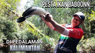 PANEN IKAN TOMAN MONSTER DI SUNGAI HUTAN KALIMANTAN .. 😱😍🥰 ..