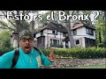 Asi es el barrio mas caro y exclusivo del bronx riverdale  no lo creeras  el cowboy tv