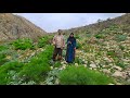 Nomadic life: a day with Mohammad and Shaukat in the heart of nature