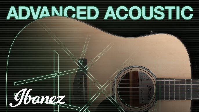 Ibanez Jon Gomm Signature JGM5 Acoustic Black Satin - Willcutt Guitars