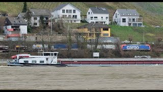 #132 Shipspotting: Binnenschiffe auf dem Rhein / MS Yolande auf Höhe Rheindiebach / Lorch