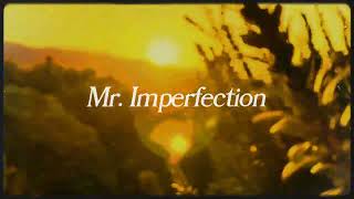 (FREE FOR PROFIT) Chelsea Cutler, Jeremy Zucker, Folk Acoustic Guitar Type Beat - Mr. Imperfection