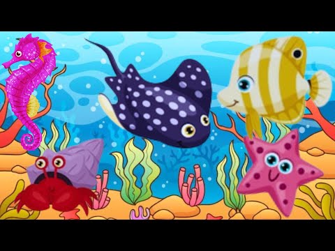 Learn Names of Sea Animals | 3d Animation | KG | Best Learning Video | Animals Song | Rhymes