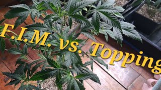 F.i.ming A Clone 8 Tops Glueystone F.i.m. Vs Topping?