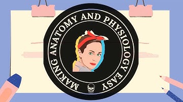 Lymphatic System Part 2