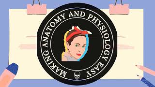 Lymphatic System Part 2