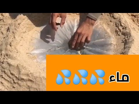 فيديو: كيف تصنع الماء الحي