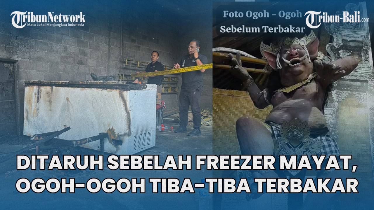 MENGEJUTKAN, Diletakkan Sebelah Freezer Mayat, Ogoh-ogoh Babi di Buleleng Bali Tiba-tiba Terbakar