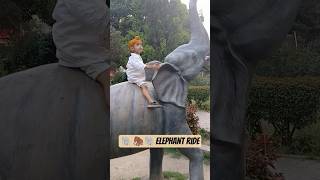 Elephant  🐘 🐘 ride #enjoy the trip#😊😚😄 happy  to do Elephant ride# utubeshort 😄😄😃