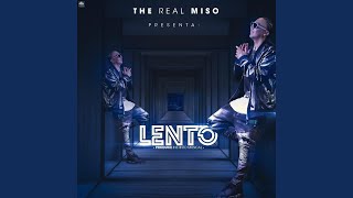 Video thumbnail of "The Real Miso - Lento"