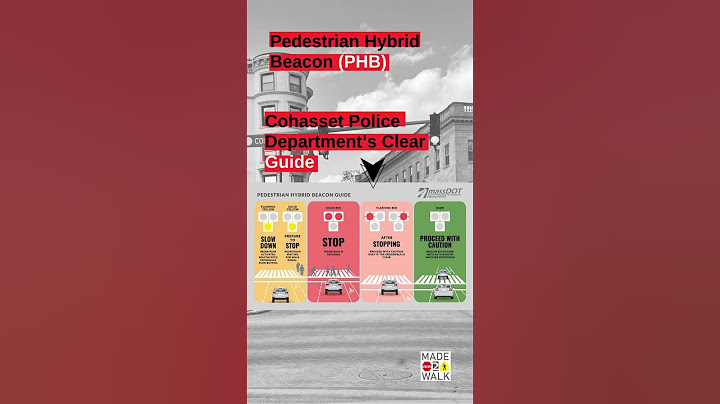 Discover the 4 types of pedestrian crossings and signals every driver should know!