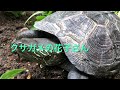 植竹児童センター(植竹放課後児童クラブ)