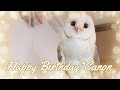 HAPPYBIRTHDAY☆CANON【カノンちゃん6歳のお誕生日です🎂✨】