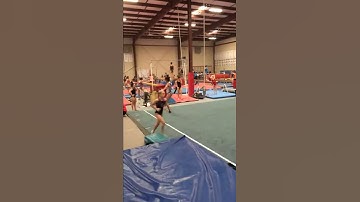 Rachael Mastrangelo (2017) Training Back Layout 1.5+punch front full