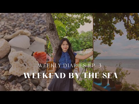 Weekly diaries ep. 3💌💐|•lunch out, small announcements, food trip•|