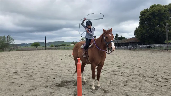 Sabrina Horse'n Around Virtual Talent Show