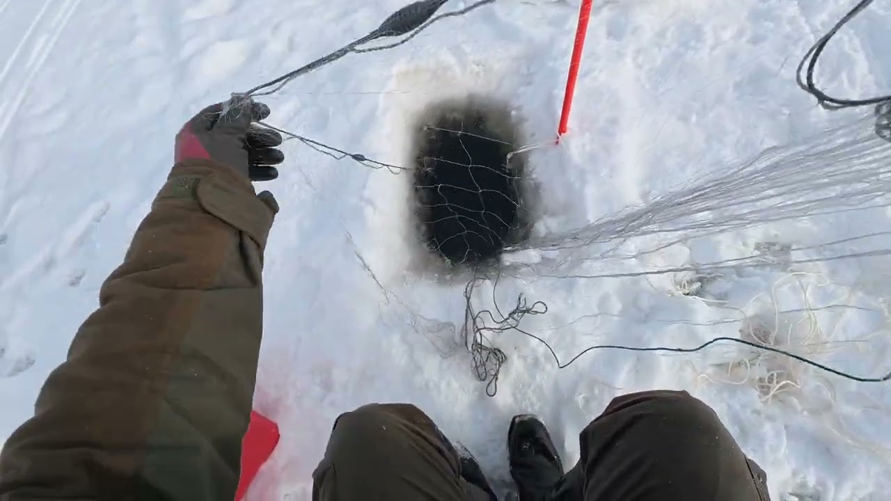 Verkoilla 3.3.2026 Hattu sentää lähti😁