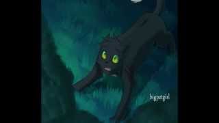 No Light, No Light (For Starclan Iris Production)