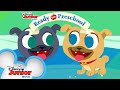 Go to School with Bingo and Rolly ✏️| Compilation | Ready for Preschool | Disney Junior