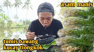 Download Lagu tumis bawang kucay tiongkok asam manis MP3 Download Lagu tumis bawang kucay tiongkok asam manis MP3