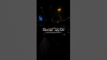 #محمد_رسول_الله #اكسبلور #لايك #القرآن_الكريم #تلاوة_خاشعة #الرحمن #shortvideo #راحة_نفسية #share