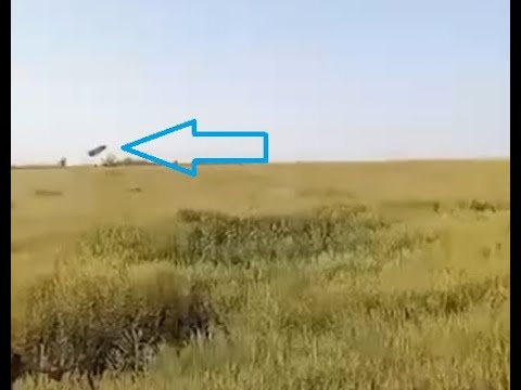 Update on Ka-52 Shot Down Near Robotyne: Video Showing the Shootdown, Geolocation and Platform Used