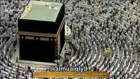 ترتيل يأسر قلبك من الشيخ د. ماهر المعيقلي لما تيسّر من سورة النور | مغرب الاثنين ٢٢-٢-١٤٤١هـ