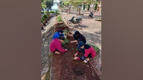 Unit 4: For A Better Community-  Project 4 10A5