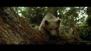 l'ours de jean jacques annaud