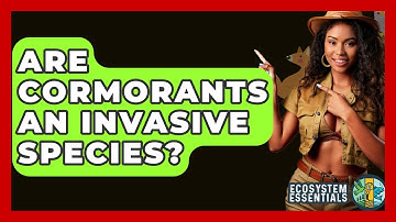Are Cormorants An Invasive Species? - Ecosystem Essentials