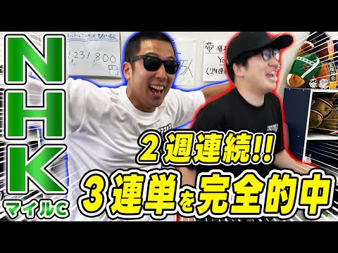 【NHKマイルカップ2024実戦】本命馬が２着に大激走！！まさかの払戻額でパニック状態に！！