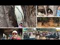 [ Madhyapradesh 11 ] "Pachmarhi Adventure: Dhupgarh Sunset Point + Reechgarh Explorer's Guide"