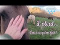 Il pleut ? Voici comment on occupe nos poneys !