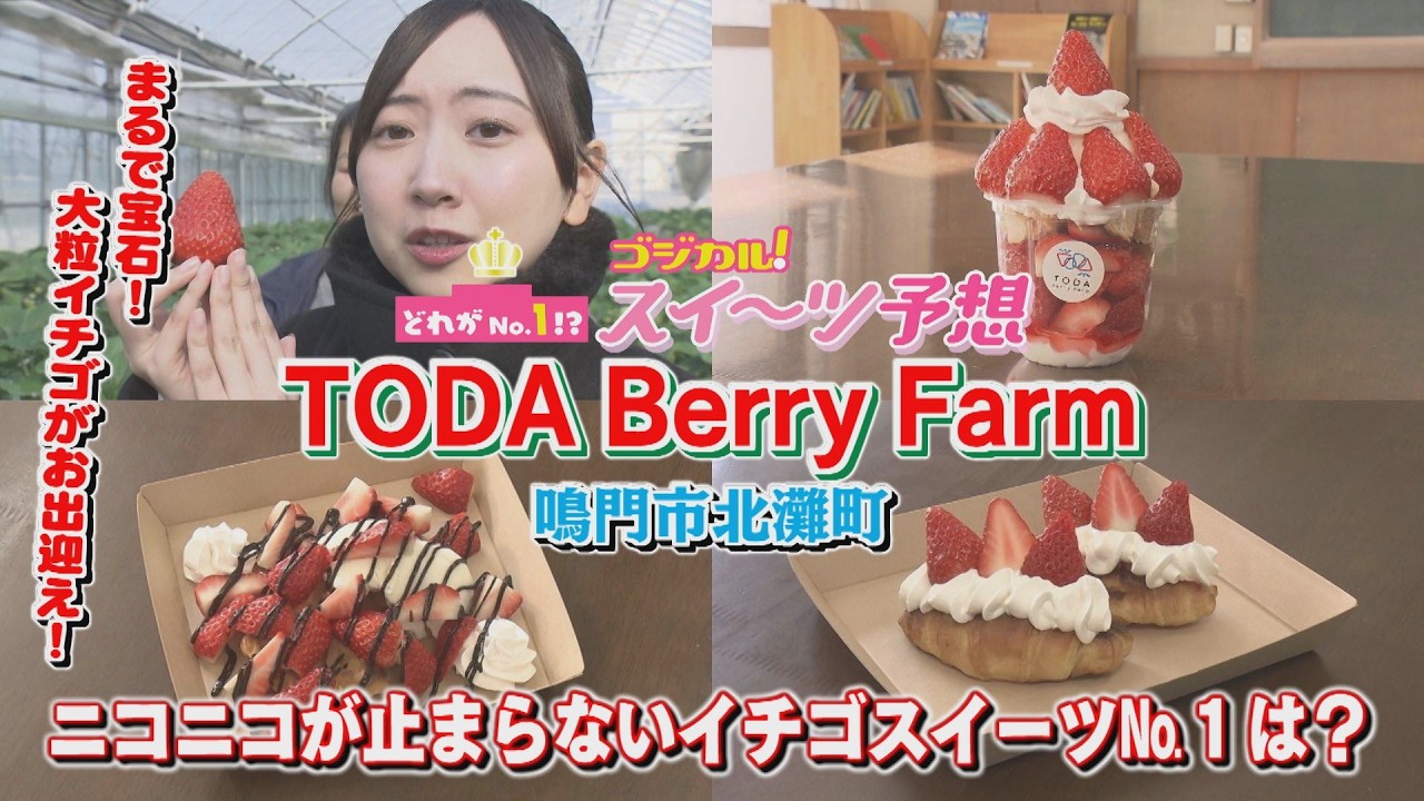 Godical!] Tsugumin's Godical! Sweets Prediction - Toda Berry Farm
