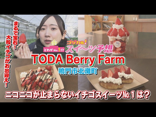 Godical!] Tsugumin's Godical! Sweets Prediction - Toda Berry Farm