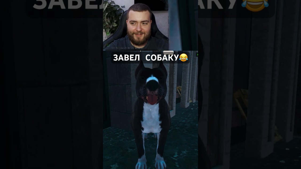 А какое имя вы дали?😂 gym simulator 24/gameplay 