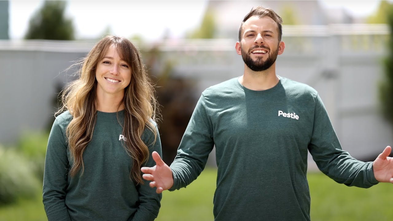 How to Apply Pest Control with Pestie YouTube