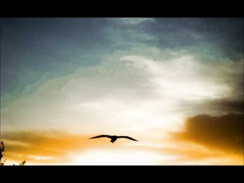Olympic 4 - Fly While You Dive