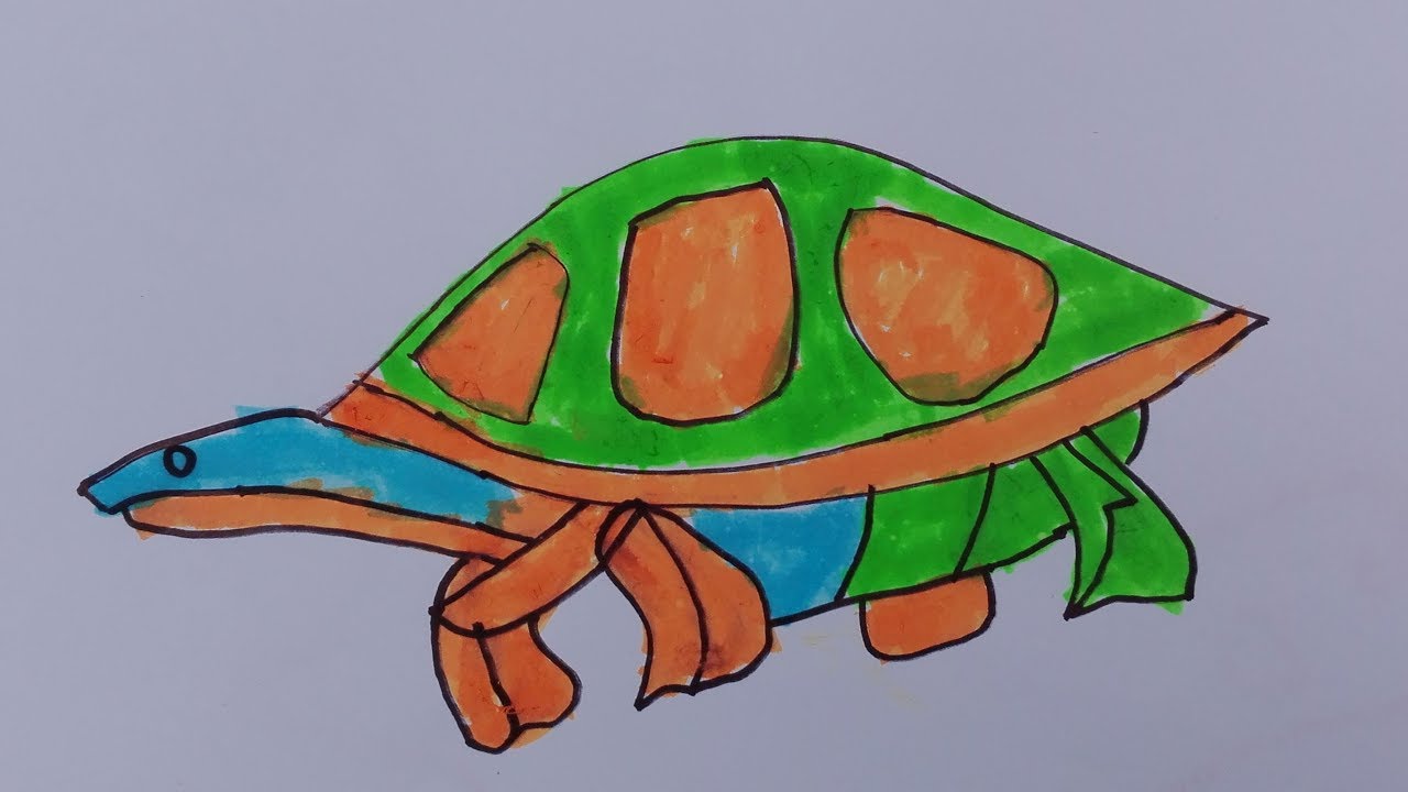 How to draw a turtle tattoo-draw a sea turtle step by step easy-draw a realistic sea turtle