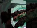 Sábadou #quintaldoespeto #viralvideos #parceira #sabadou