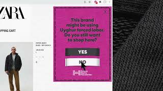Uyghur Force Labor Checker