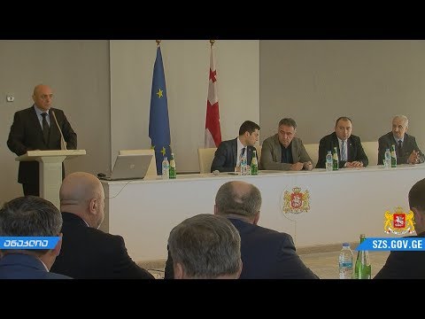 ანაკლიაში რეგიონული პოლიტიკისა და თვითმმართველობის კომიტეტის გასვლითი სხდომა გაიმართა