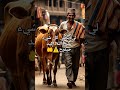 لي يخلي كل شيء لله عمرو مايندم راح الأزمة تعدي  دويتو هيسطوريا دعاء الرزق 