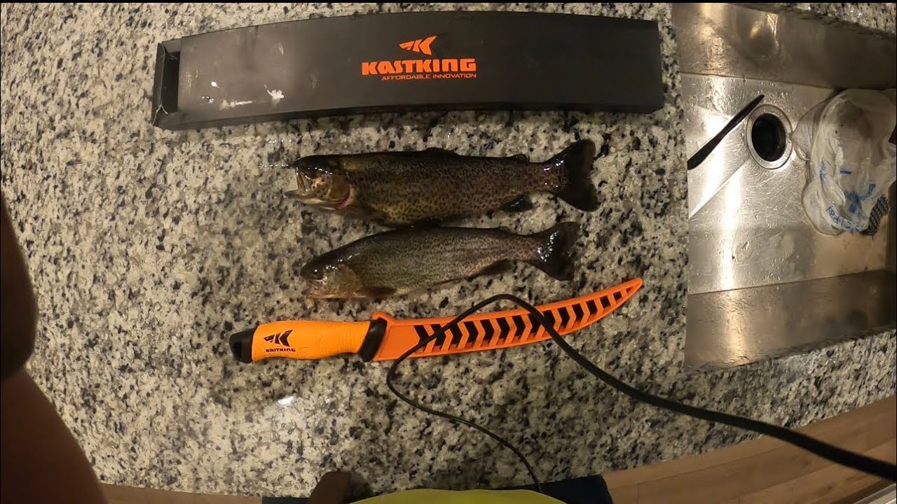 NORMANDY DAM FISHING FOR RAINBOW TROUT [ CATCH + COOK + CLEAN ] - YouTube